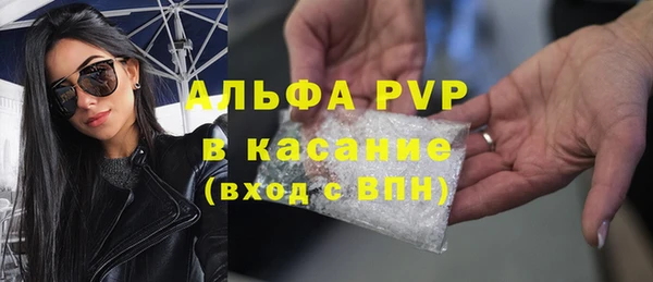 хмурый Белокуриха