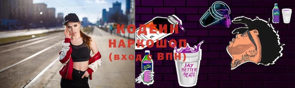 хмурый Белокуриха