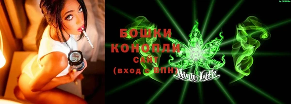 хмурый Белокуриха