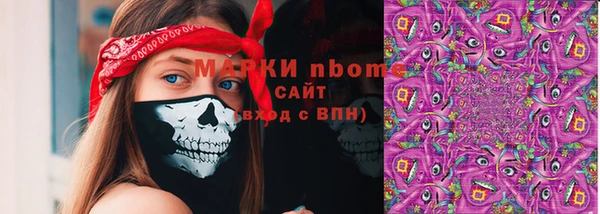 хмурый Белокуриха