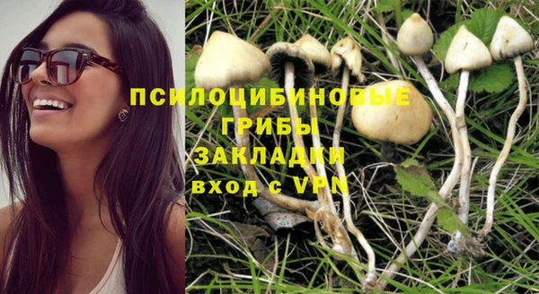 хмурый Белокуриха