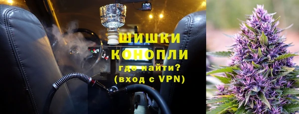 стаф Корсаков