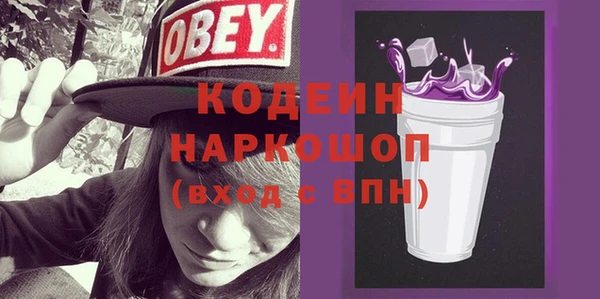 хмурый Белокуриха