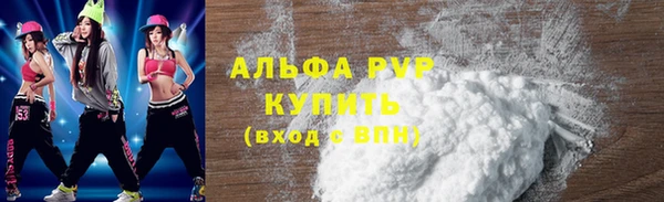 хмурый Белокуриха