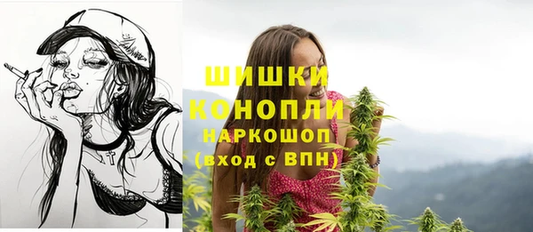 хмурый Белокуриха