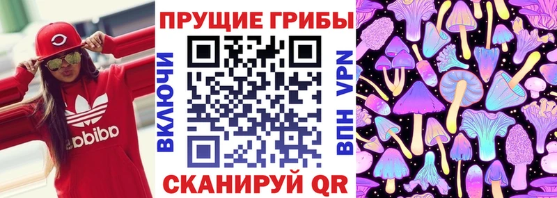 купить наркоту  Котово  Галлюциногенные грибы мицелий 